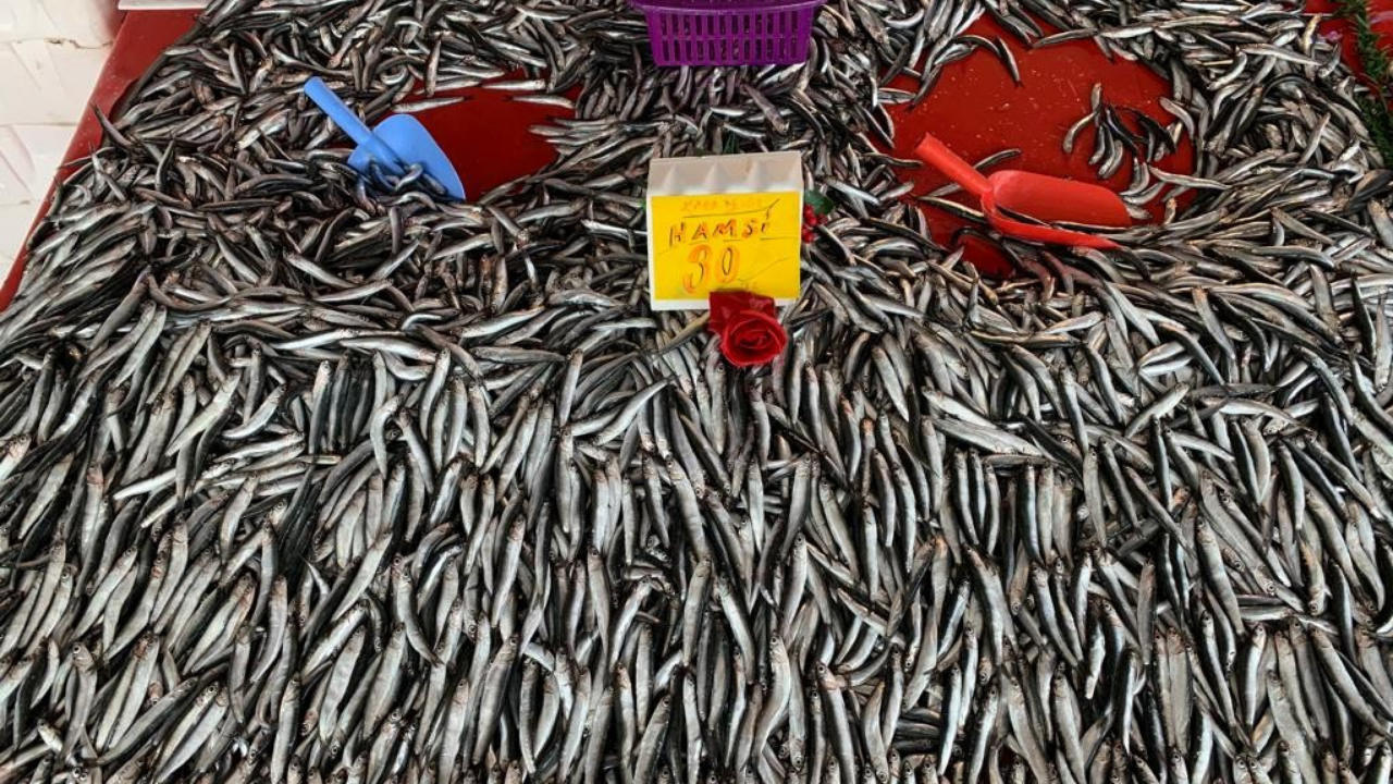 Eskişehir'de boş balık tezgahlarına bolluk geldi